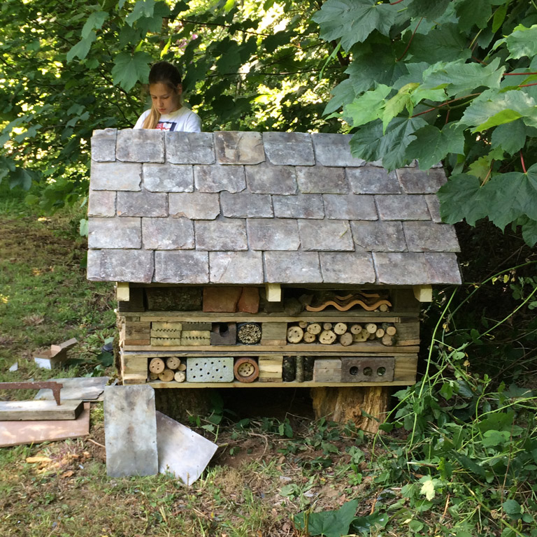 2016 - The Bug Hotel Created