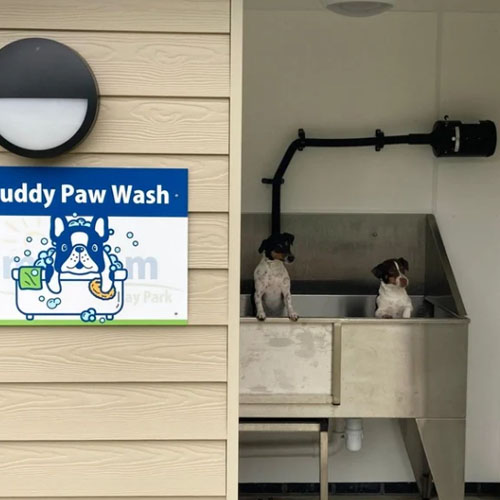 Muddy Paw Wash